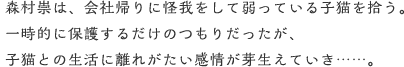 森村崇は、会社帰りに怪我をして弱っている子猫を拾う。一時的に保護するだけのつもりだったが、子猫との生活に離れがたい感情が芽生えていき……。